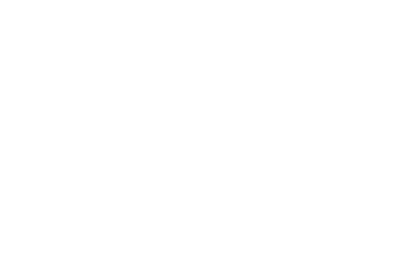 bordeon