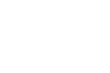 Bayer Construct